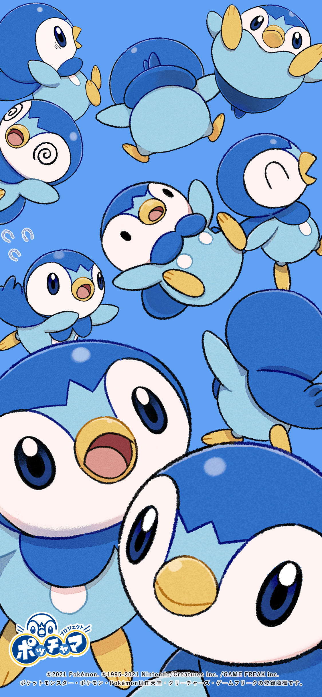 Piplup Hd Wallpapers