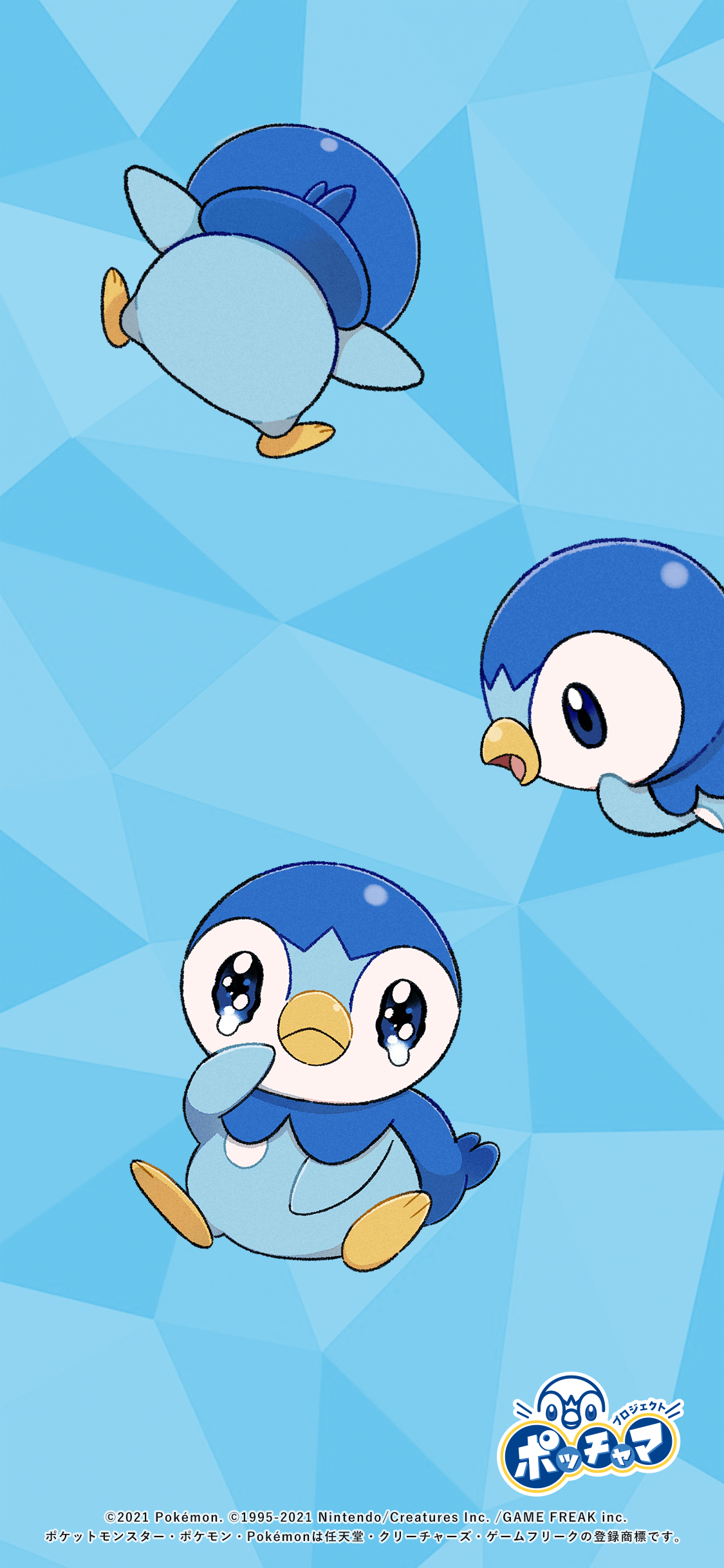 Piplup Hd Wallpapers