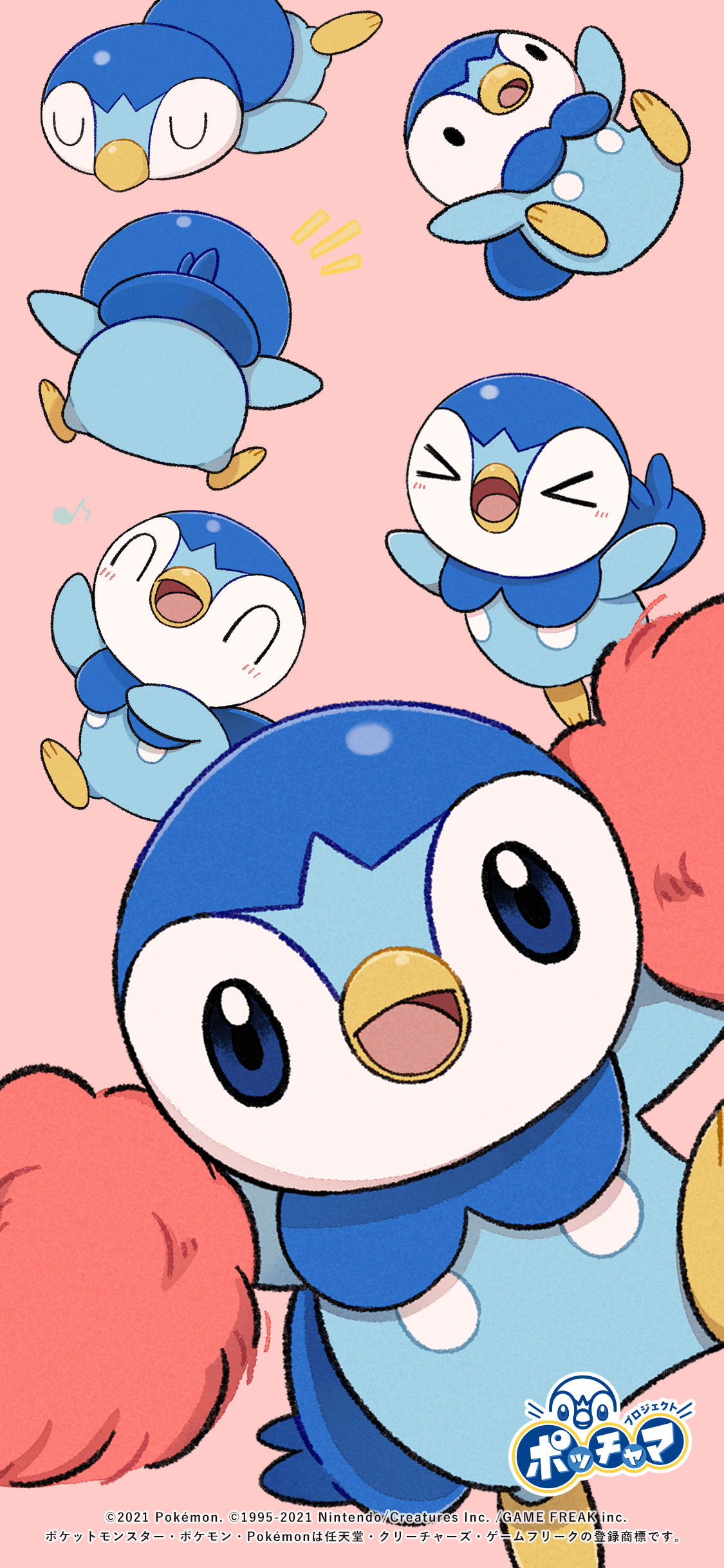 Piplup Hd Wallpapers