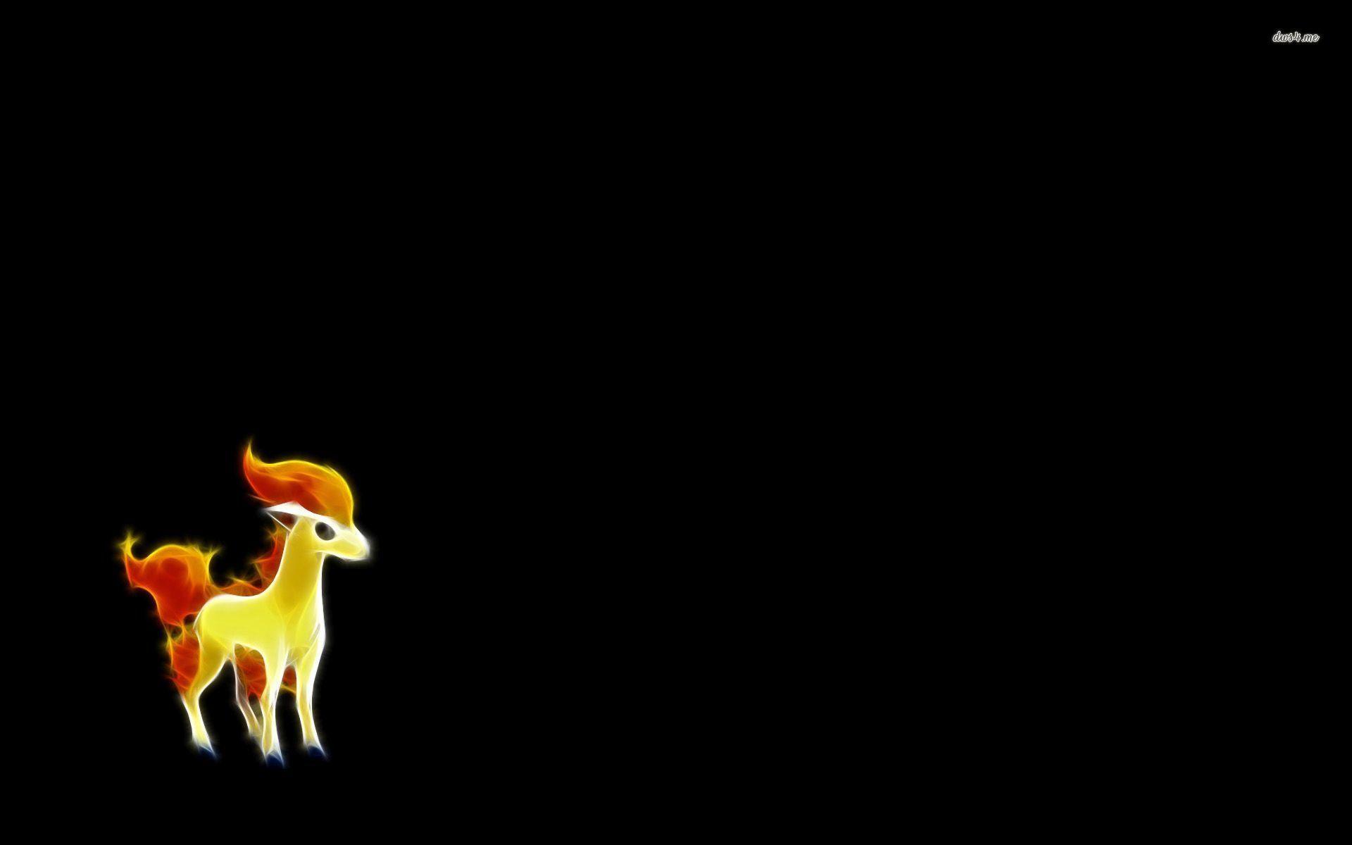 Ponyta Hd Wallpapers