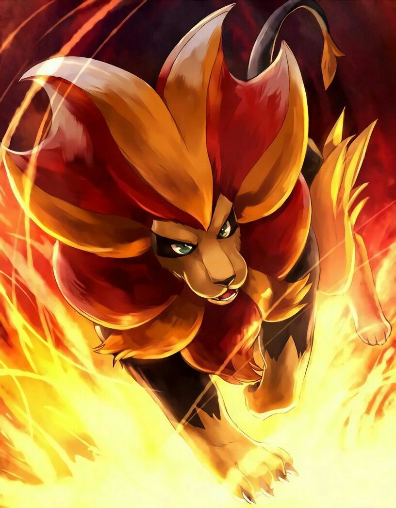 Pyroar Hd Wallpapers