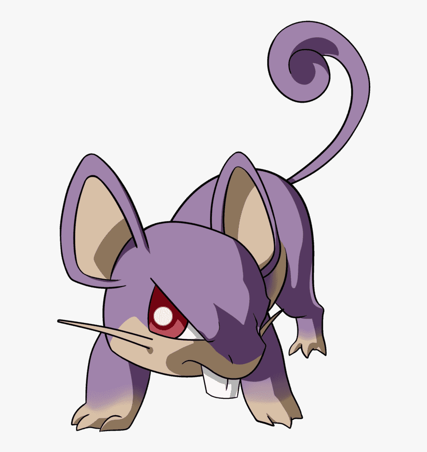 Rattata Hd Wallpapers