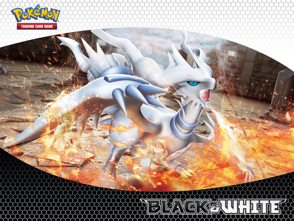 Reshiram Hd Wallpapers