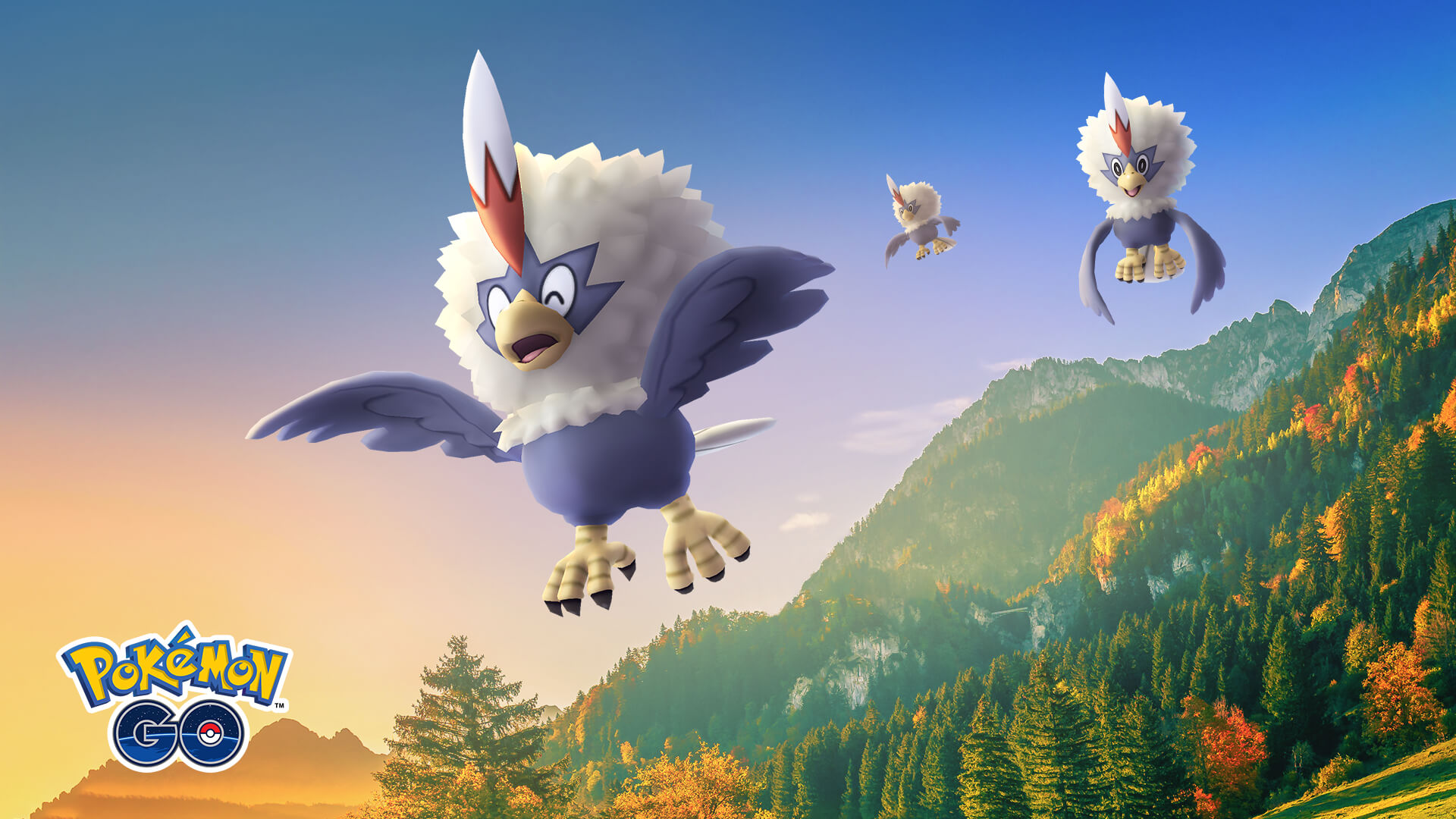 Rufflet Hd Wallpapers