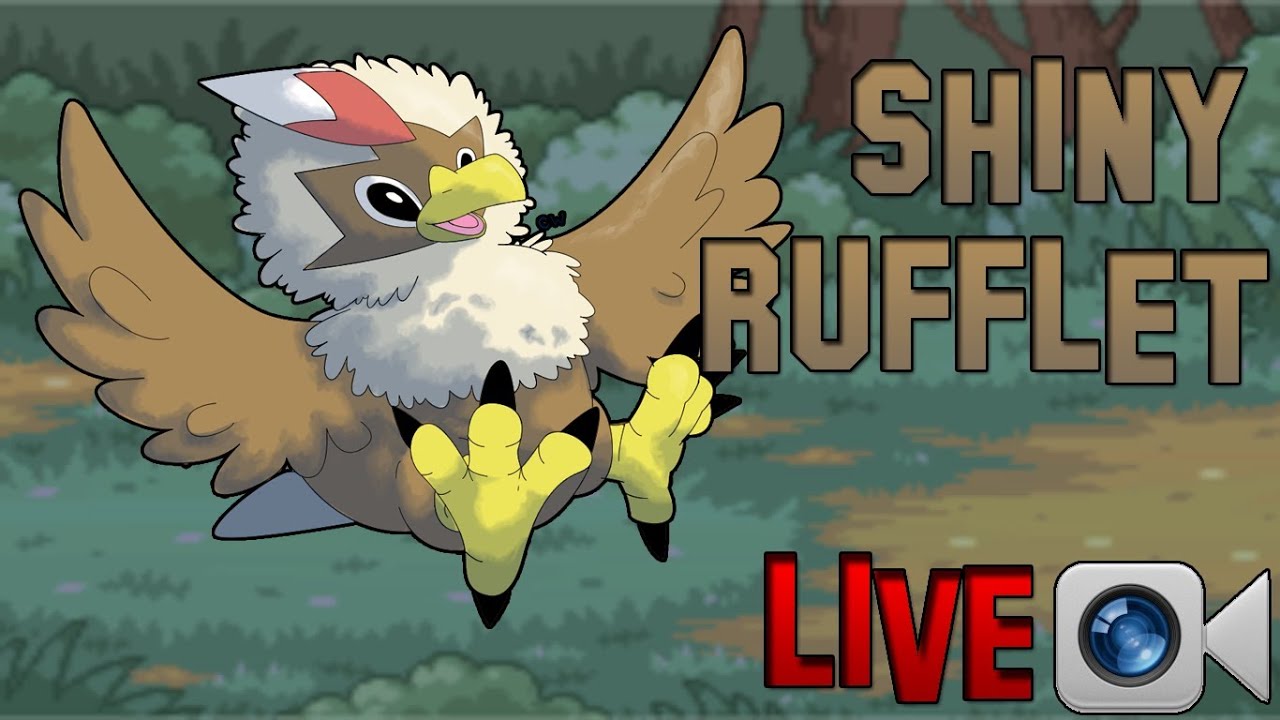 Rufflet Hd Wallpapers