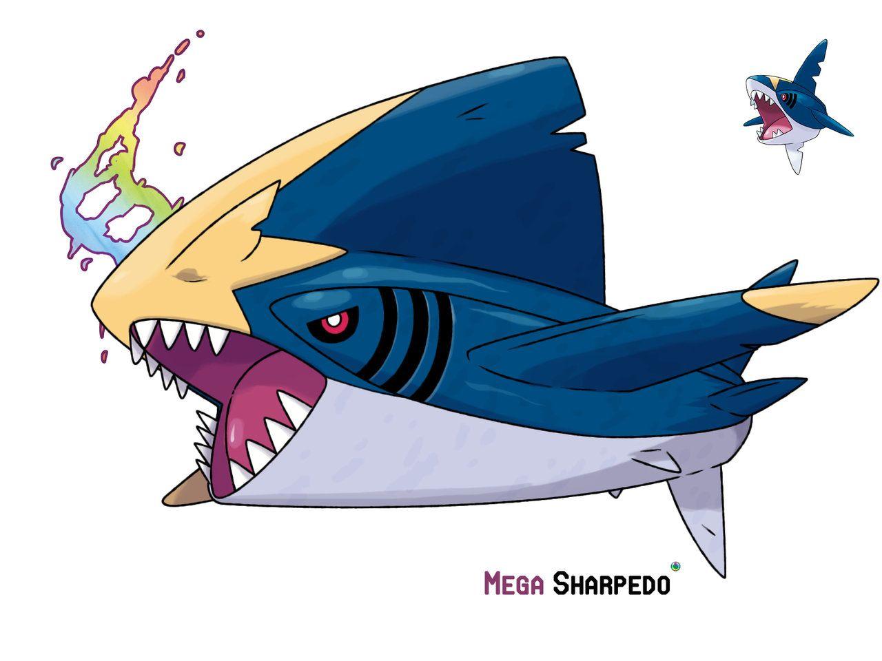 Sharpedo Hd Wallpapers