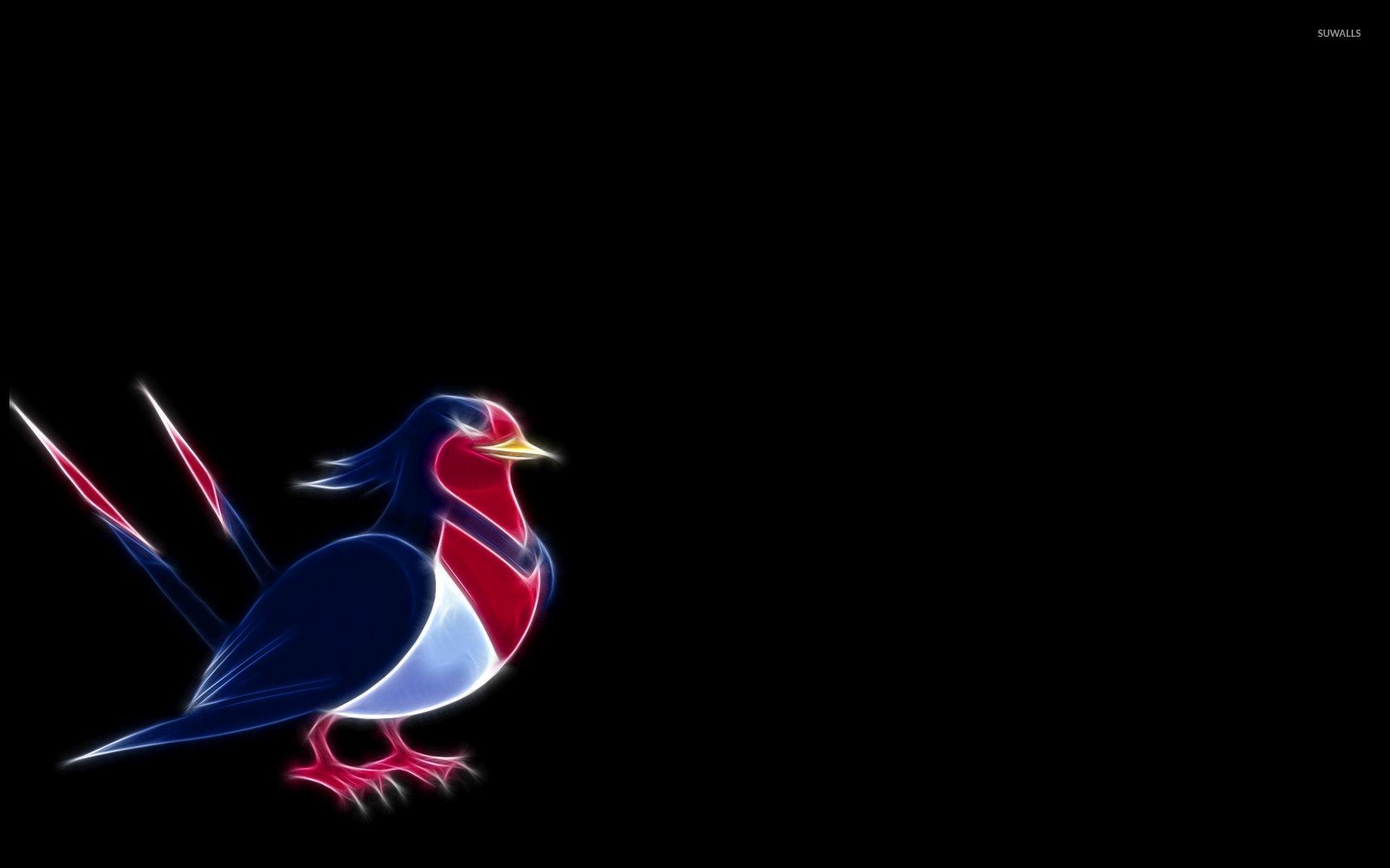 Swellow Hd Wallpapers