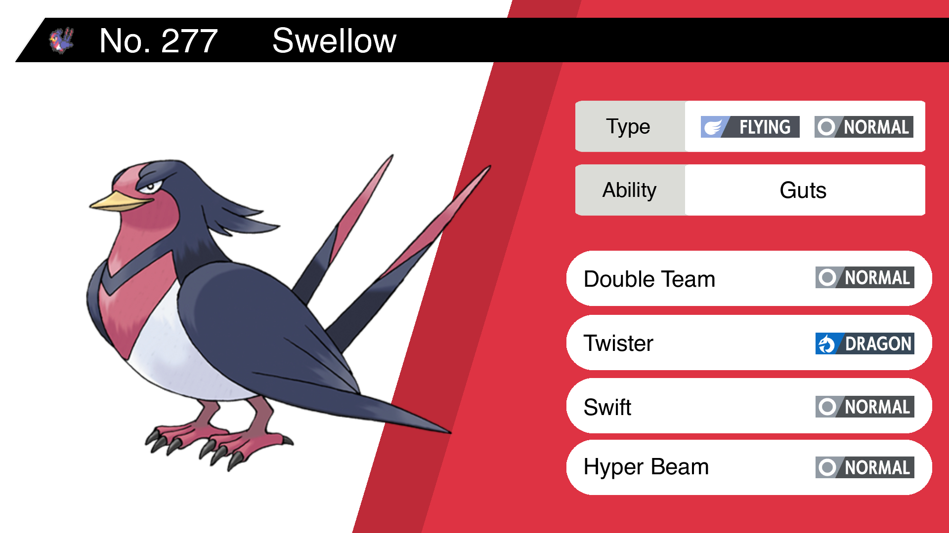 Swellow Hd Wallpapers