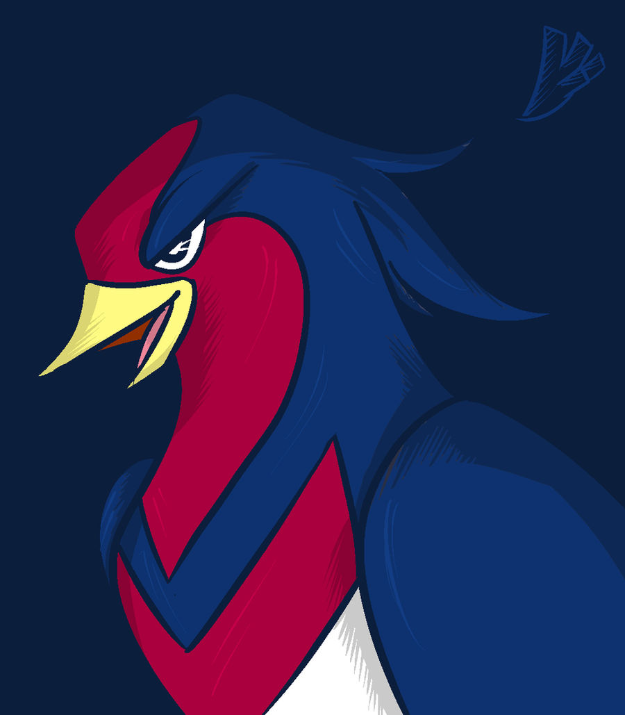 Swellow Hd Wallpapers