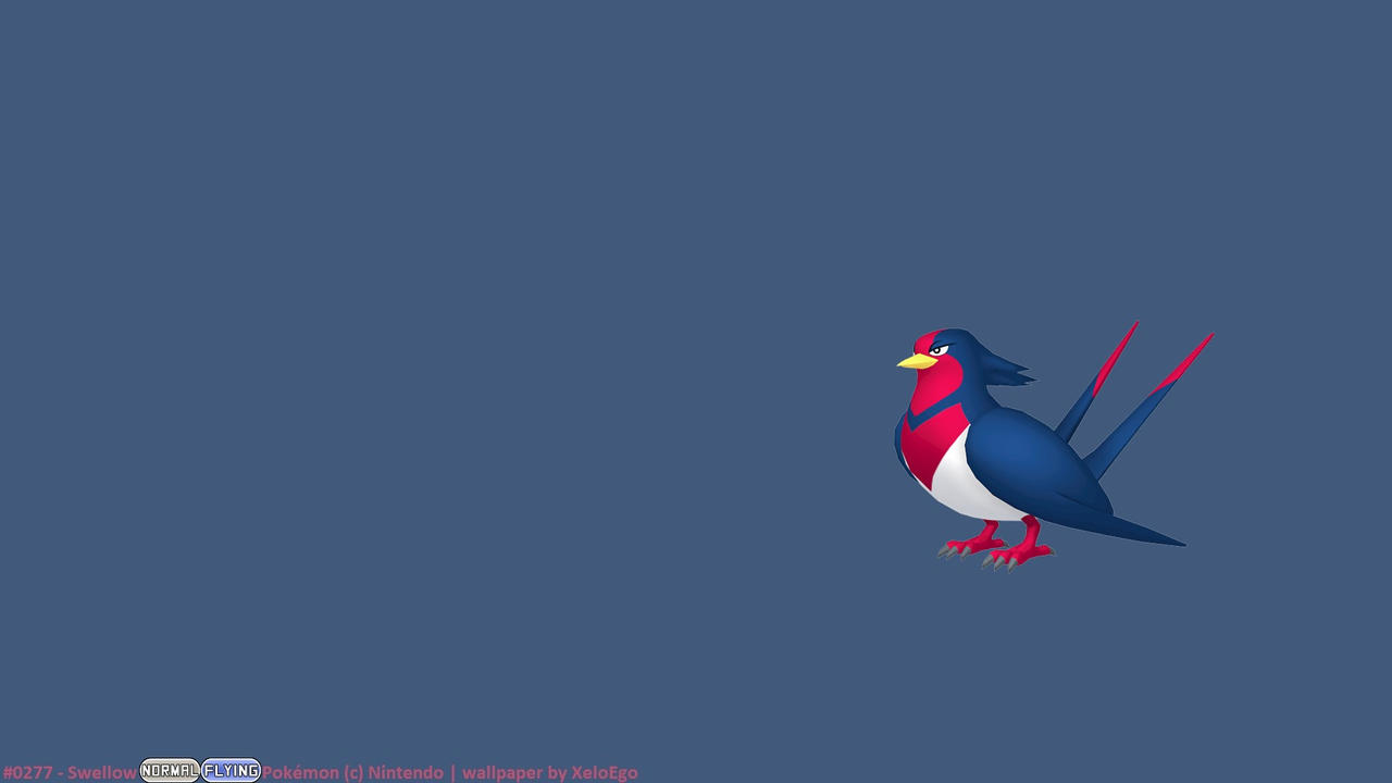 Swellow Hd Wallpapers