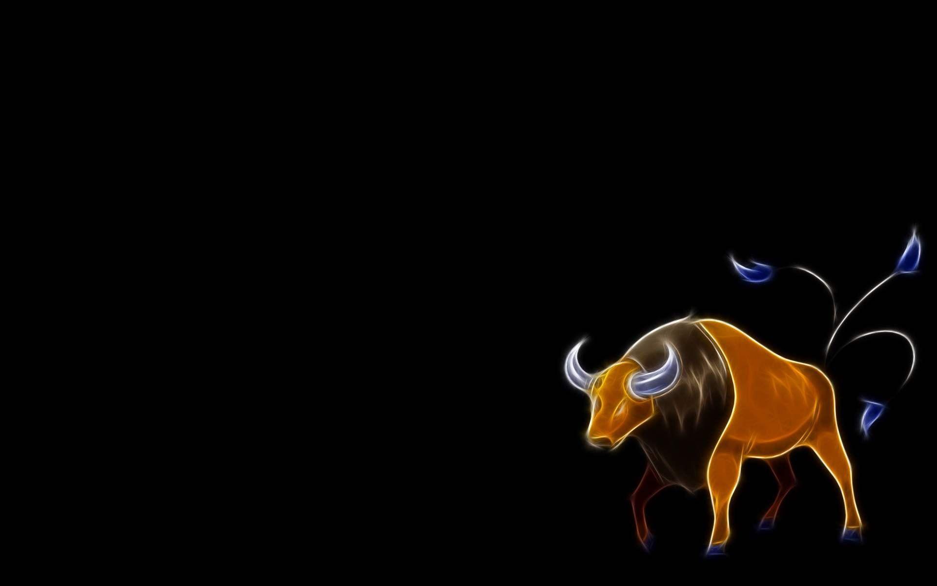 Tauros Hd Wallpapers