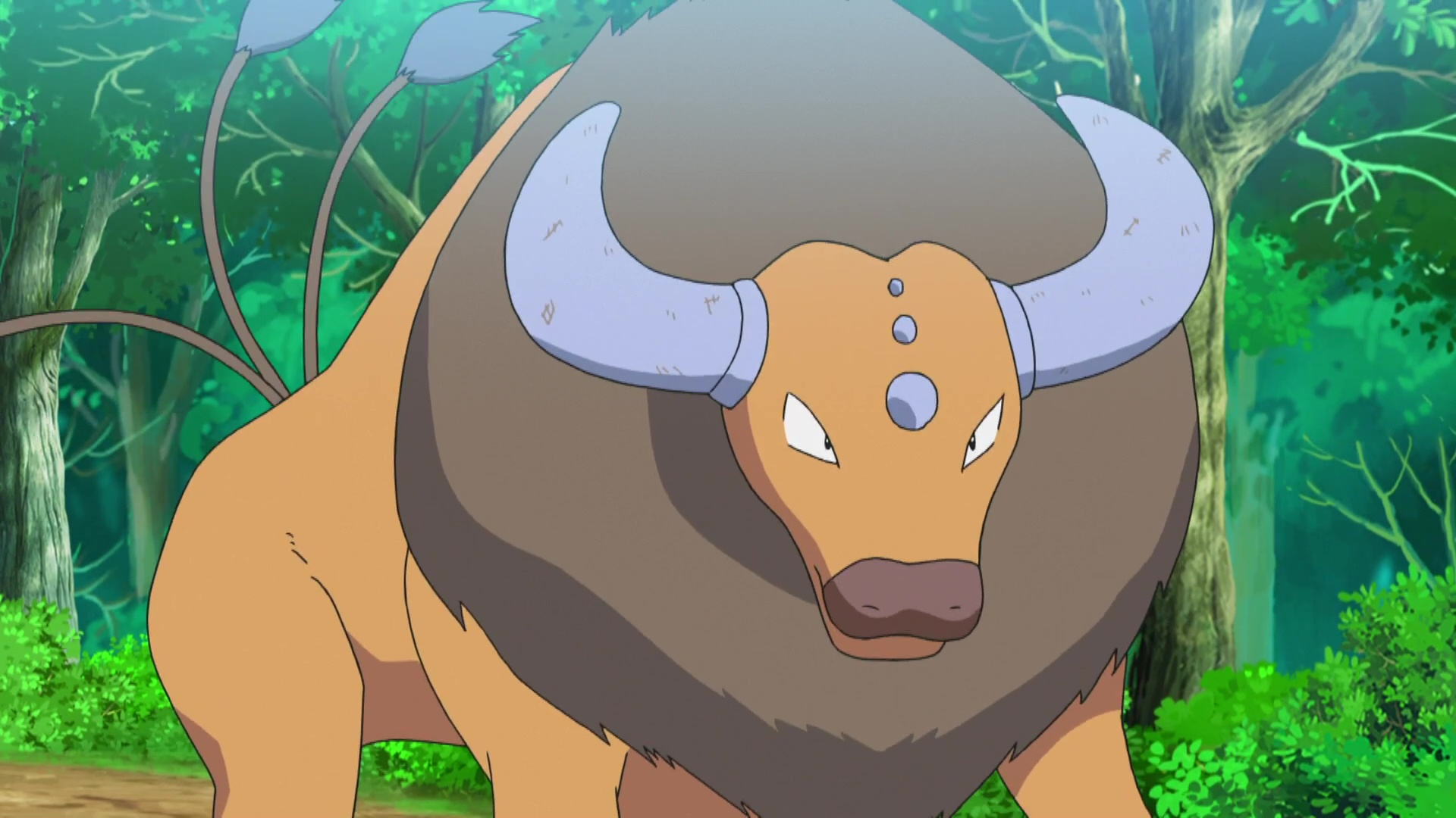 Tauros Hd Wallpapers