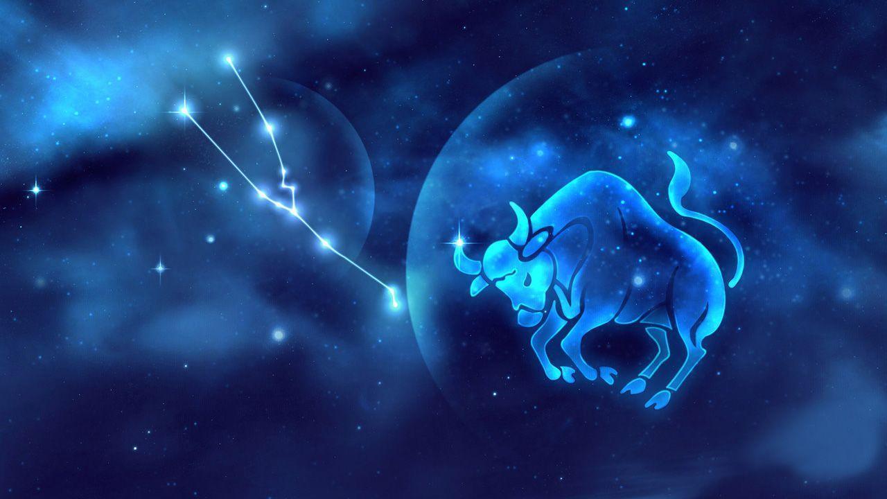 Tauros Hd Wallpapers