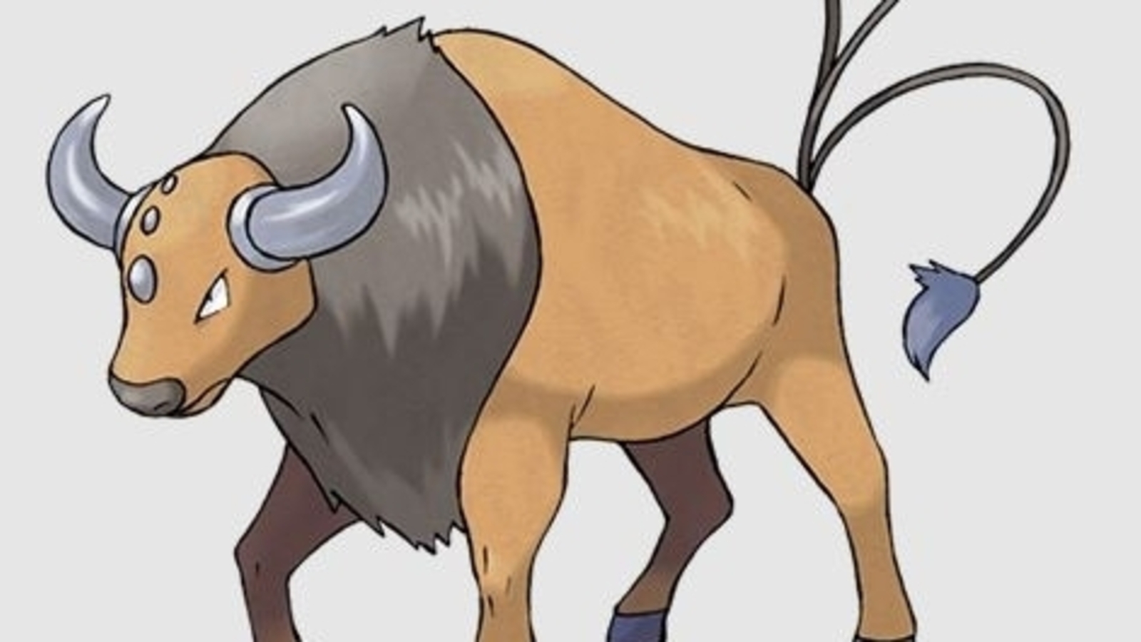 Tauros Hd Wallpapers