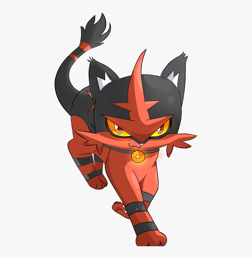 Torracat Hd Wallpapers