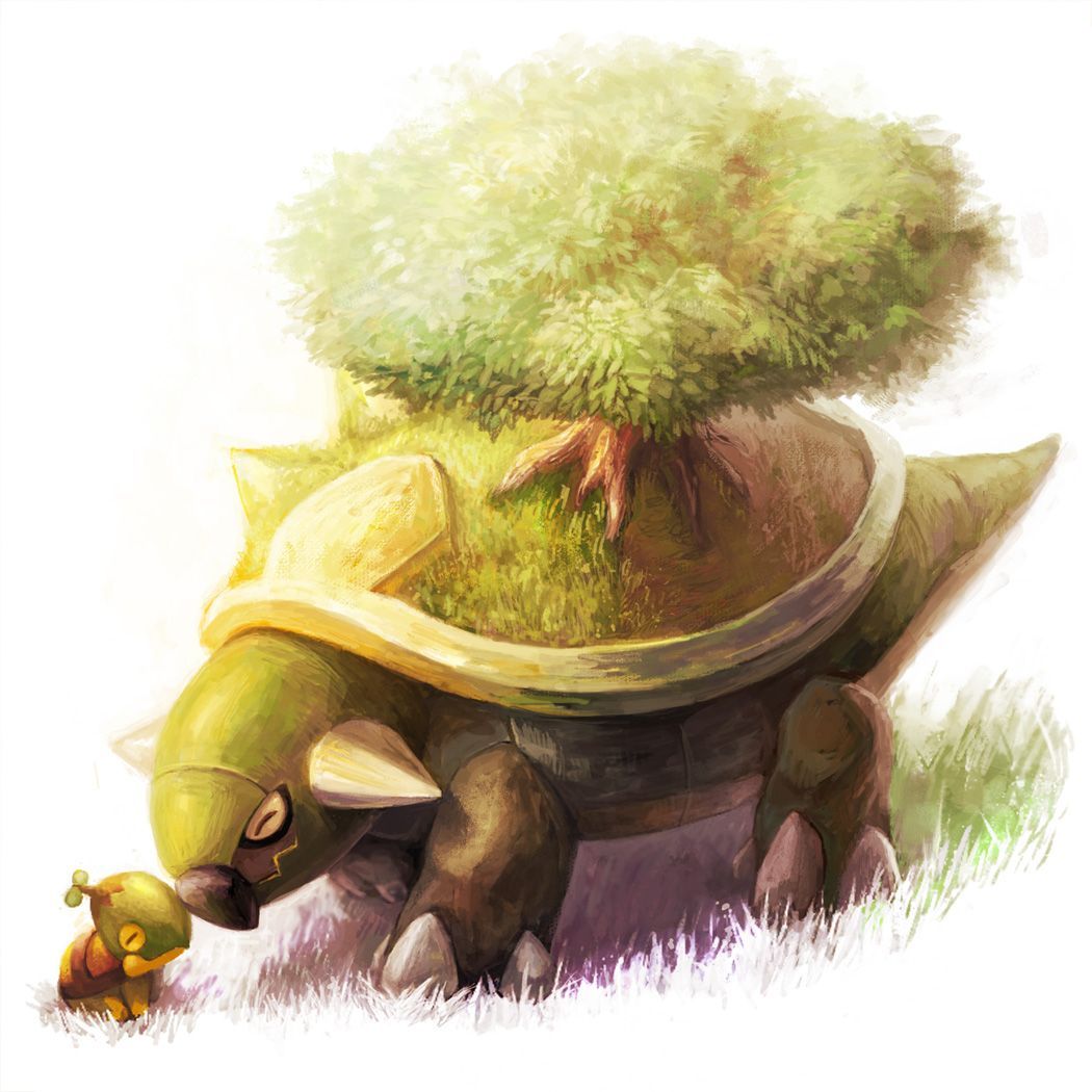 Torterra Hd Wallpapers