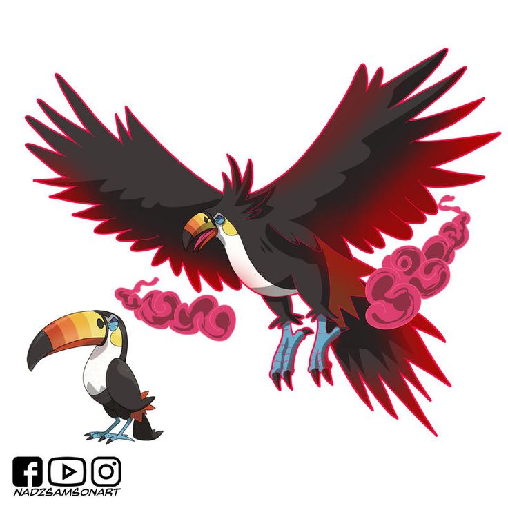 Toucannon Hd Wallpapers