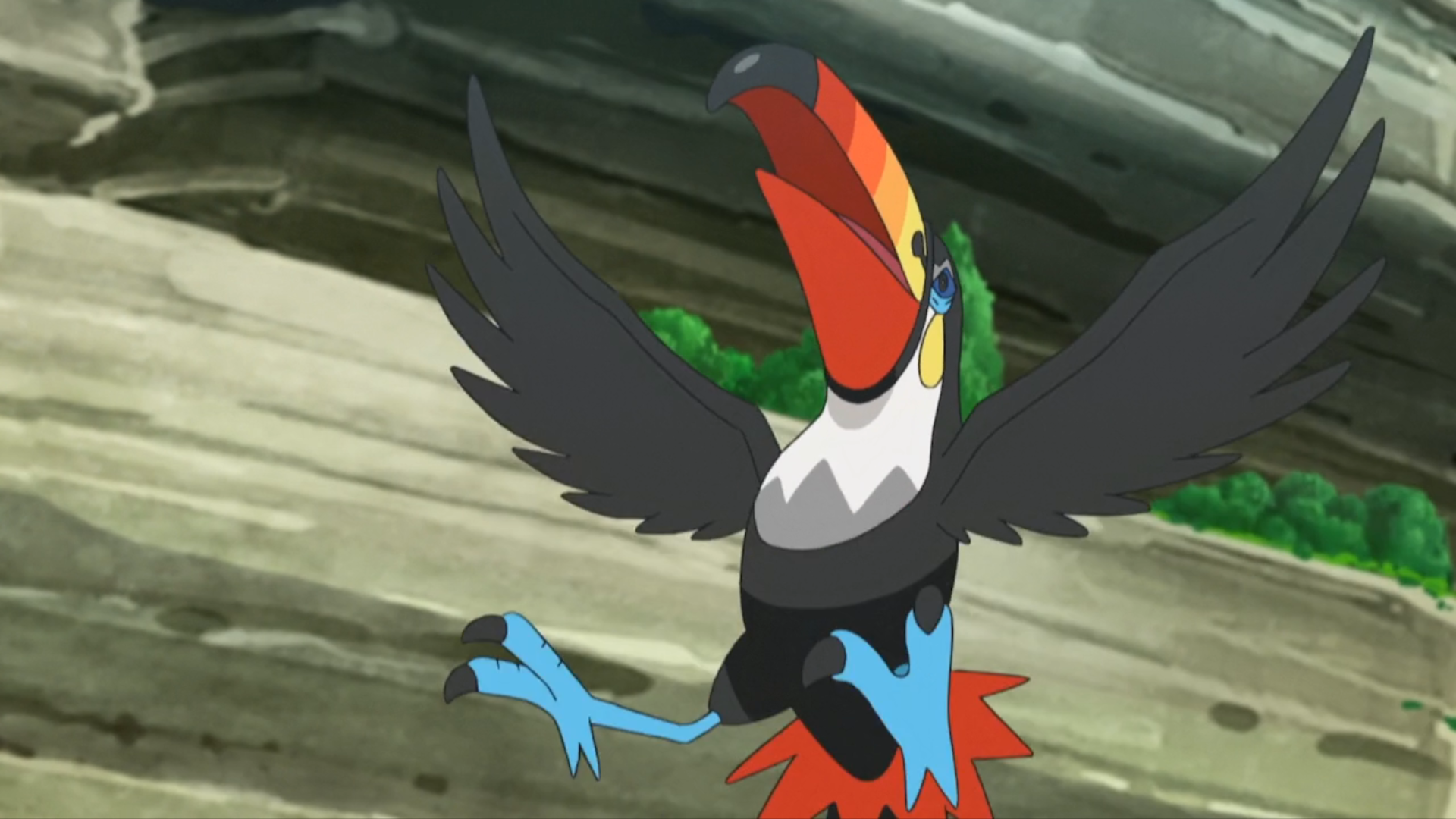 Toucannon Hd Wallpapers