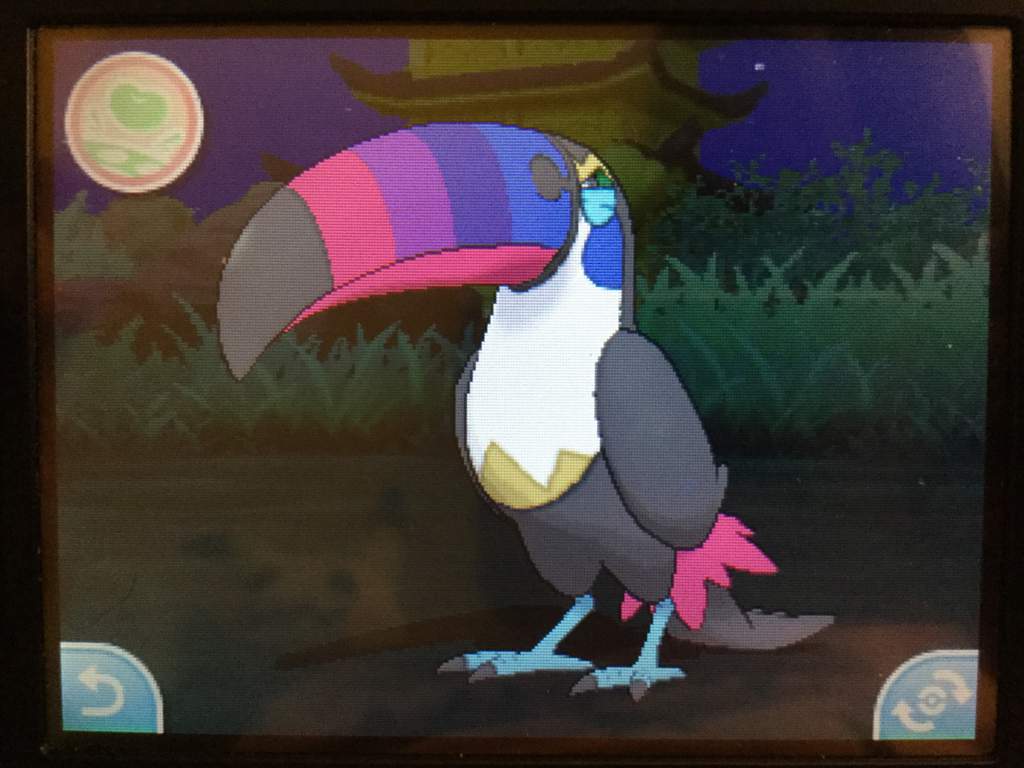 Toucannon Hd Wallpapers