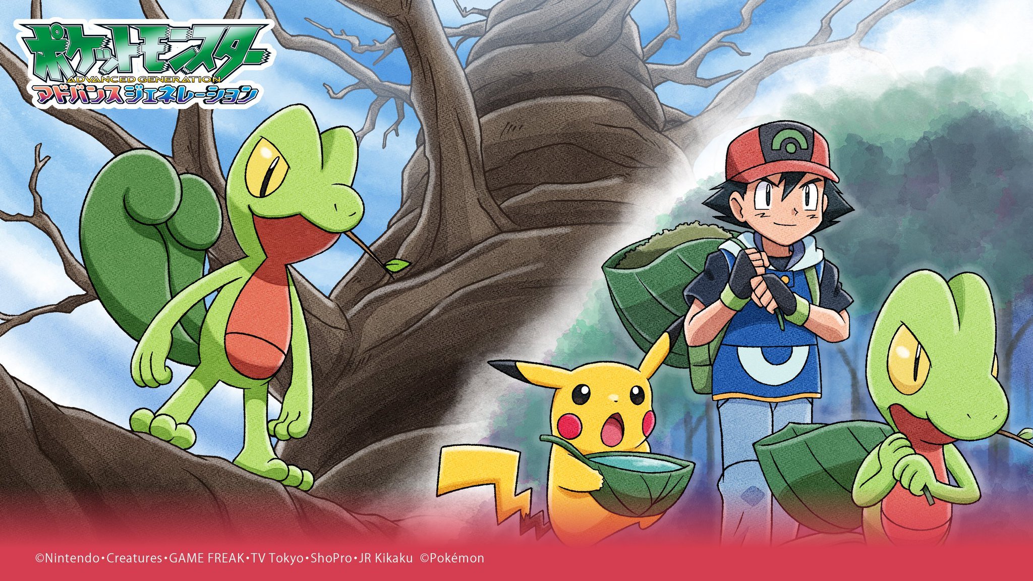 Treecko Hd Wallpapers