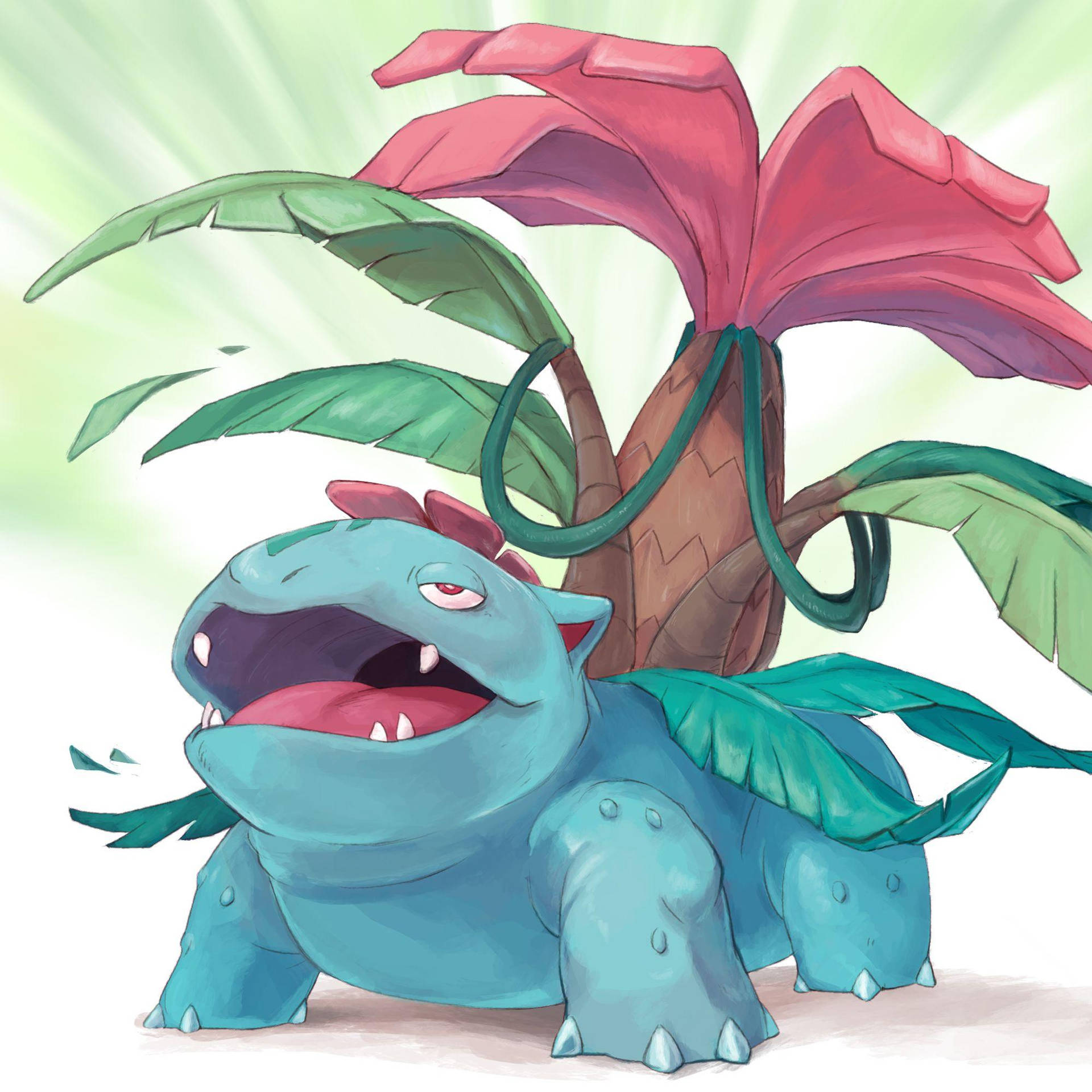 Venusaur Hd Wallpapers