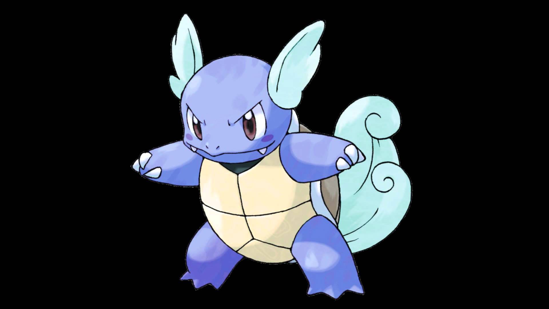 Wartortle Hd Wallpapers