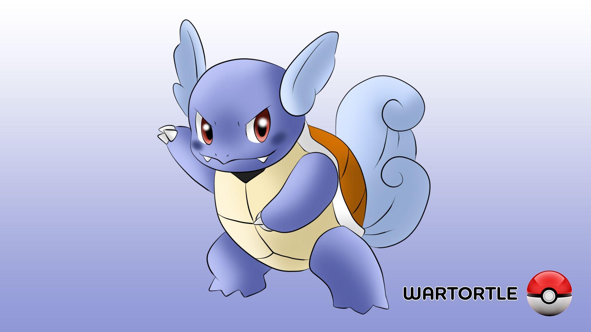 Wartortle Hd Wallpapers