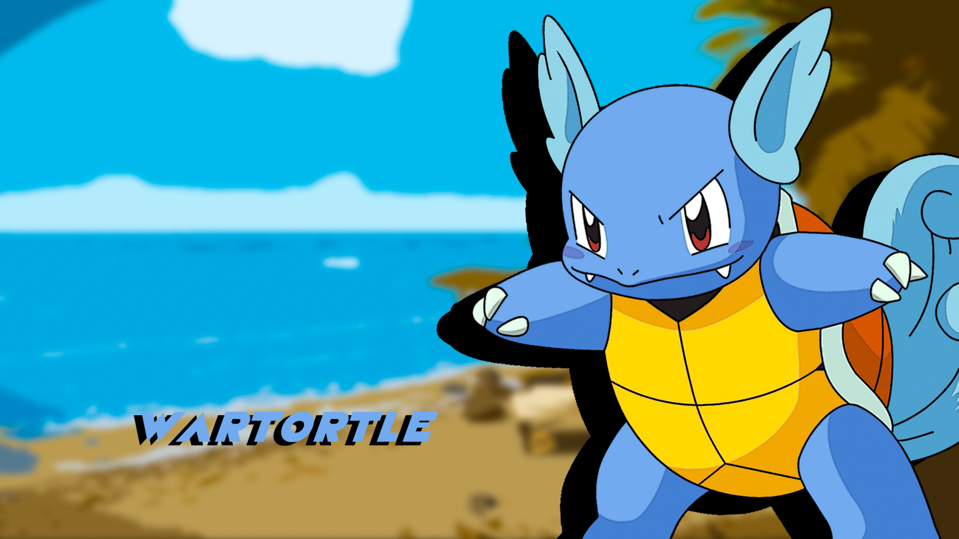 Wartortle Hd Wallpapers