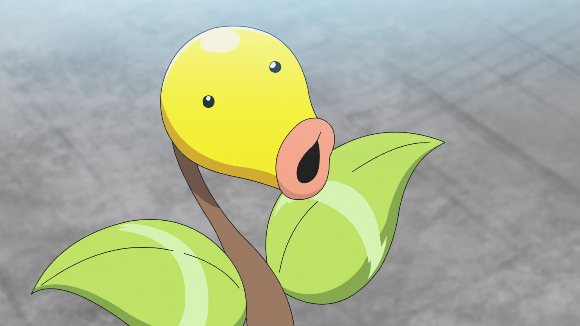 Weepinbell Hd Wallpapers