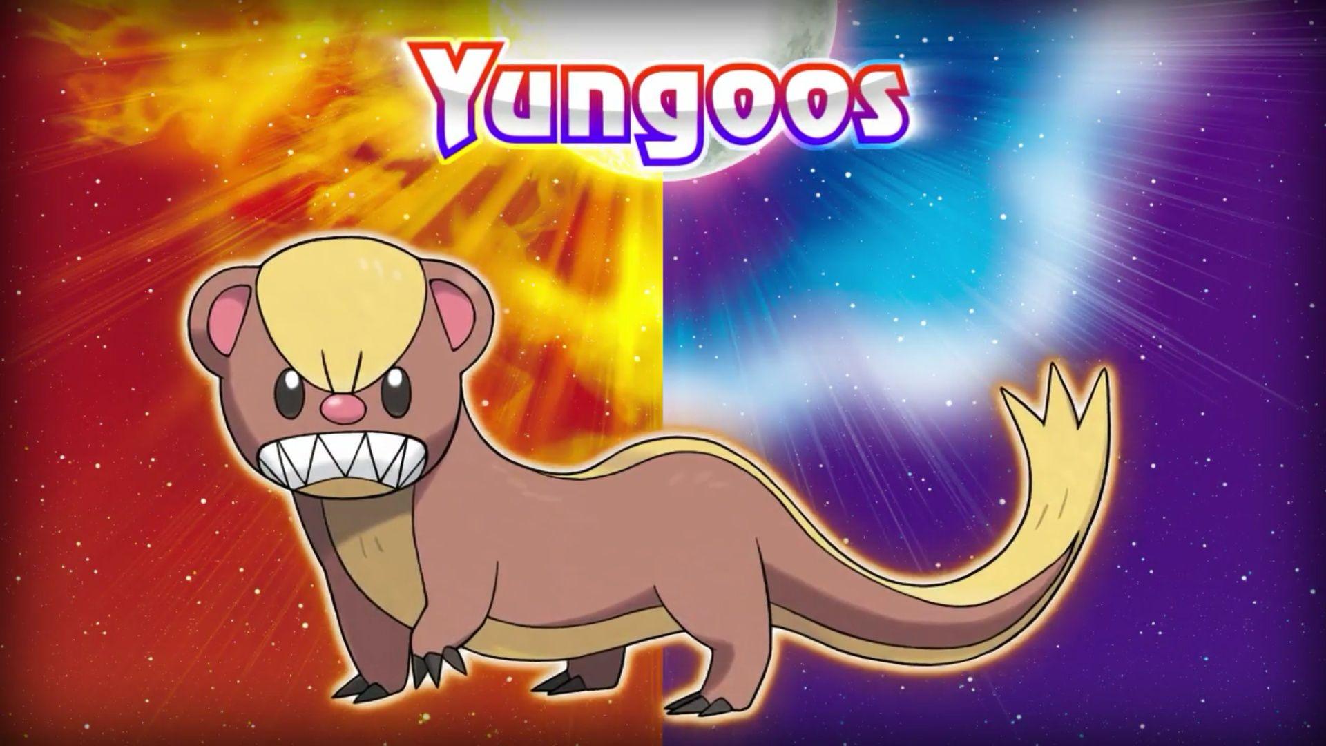 Yungoos Hd Wallpapers