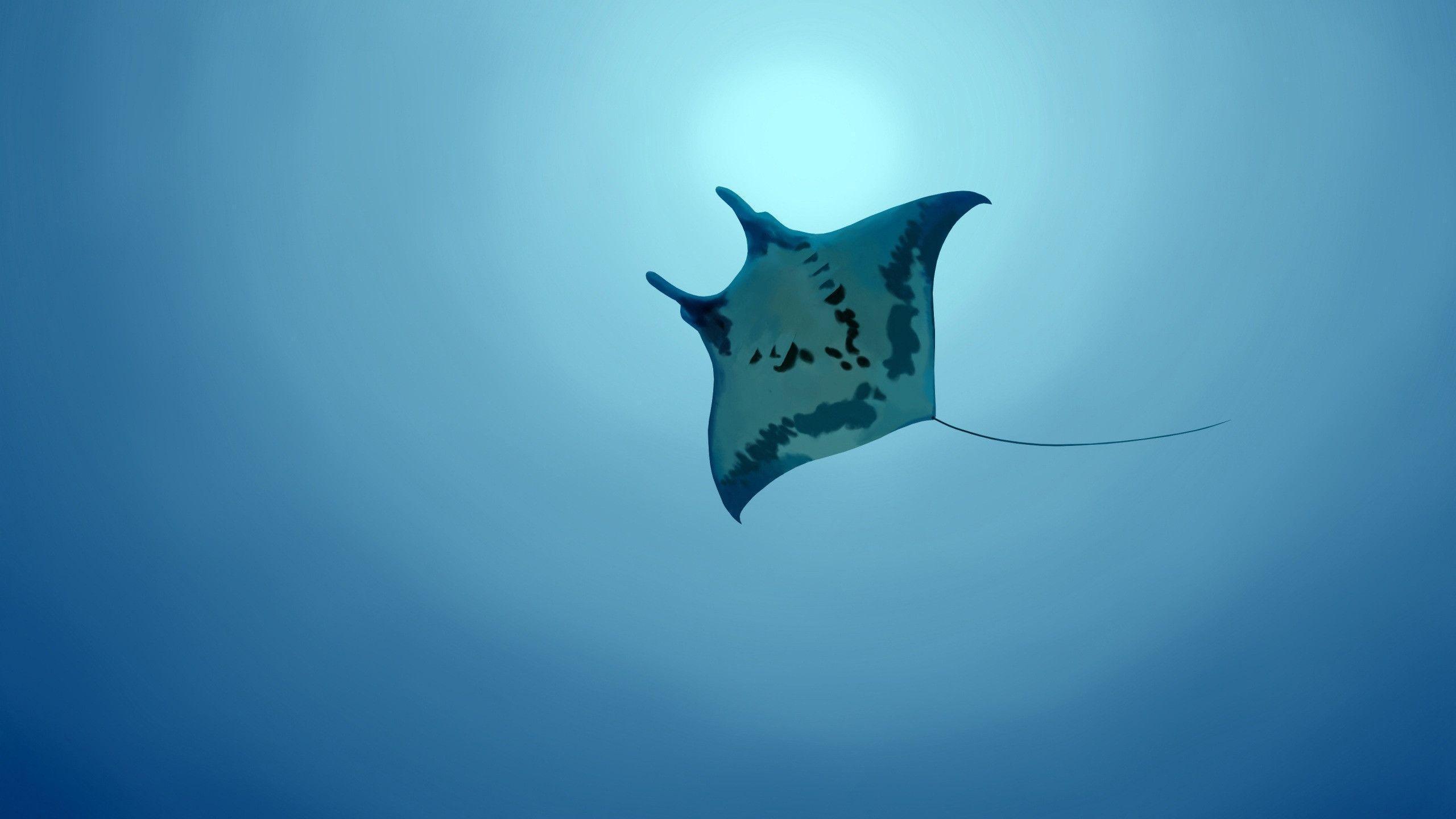 Stingray Fortnite Wallpapers