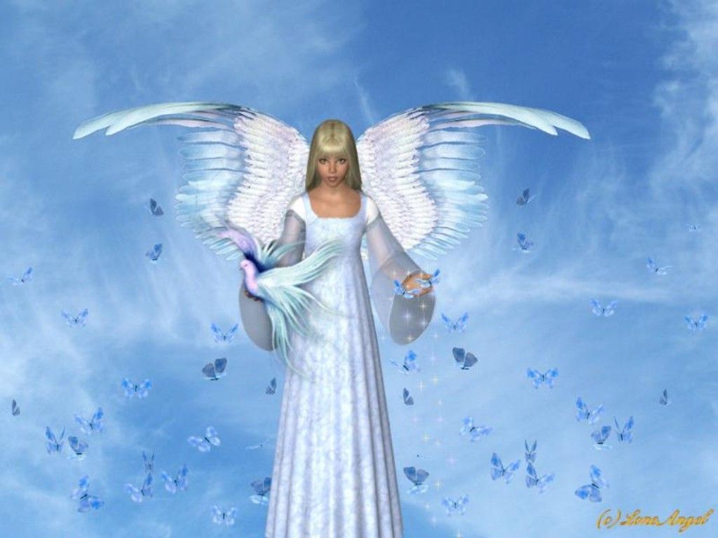 Beautiful Angel HdWallpapers