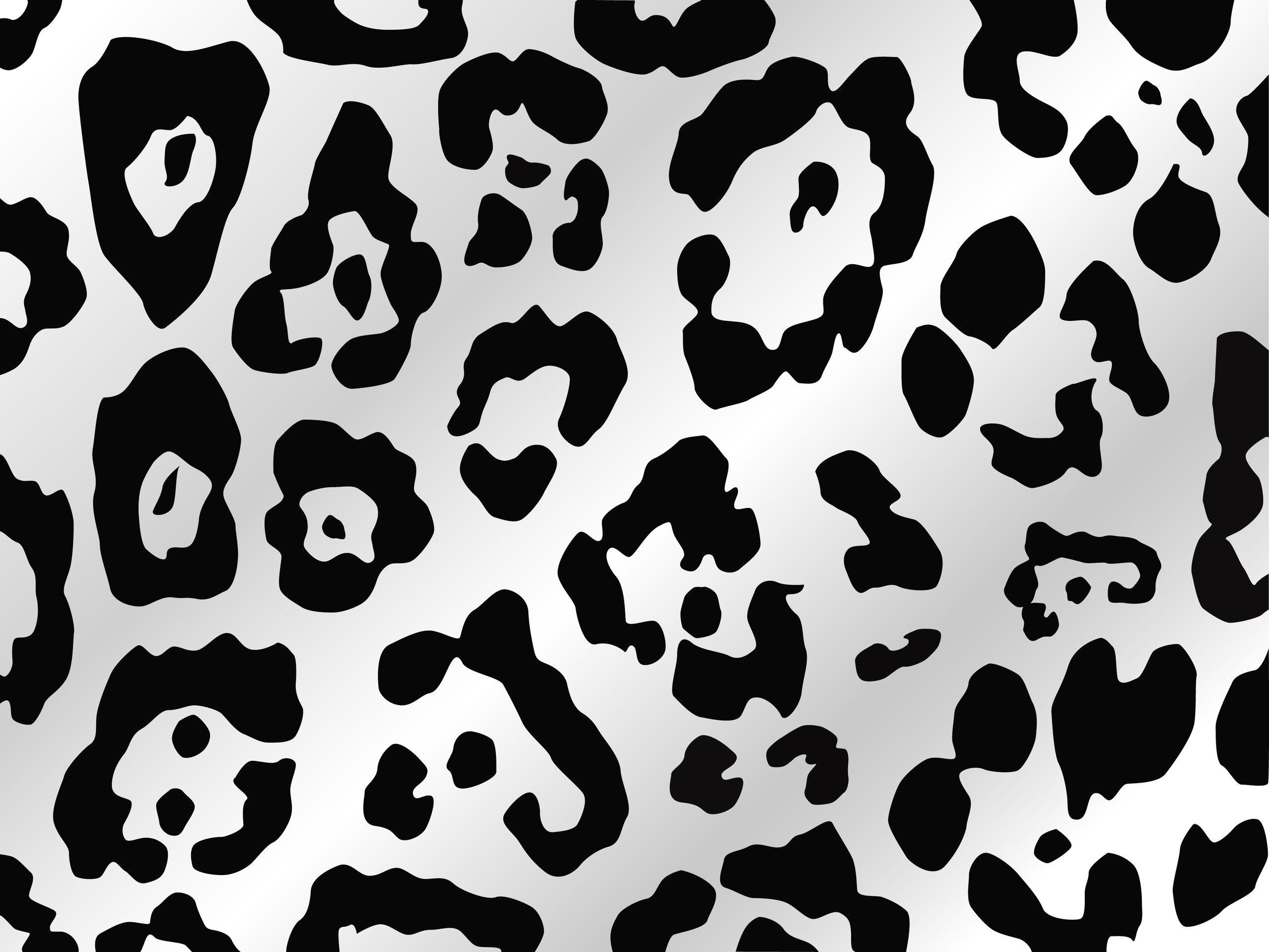 Beautiful Animal Print Wallpapers