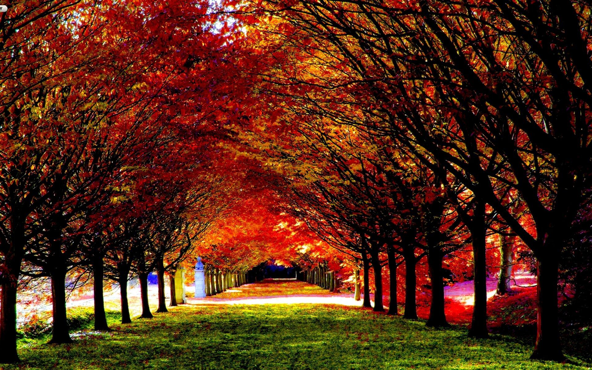 Beautiful AutumnWallpapers