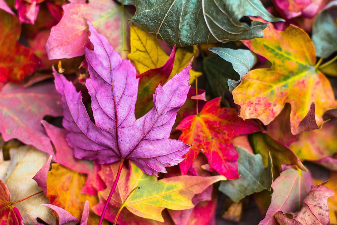 Beautiful AutumnWallpapers