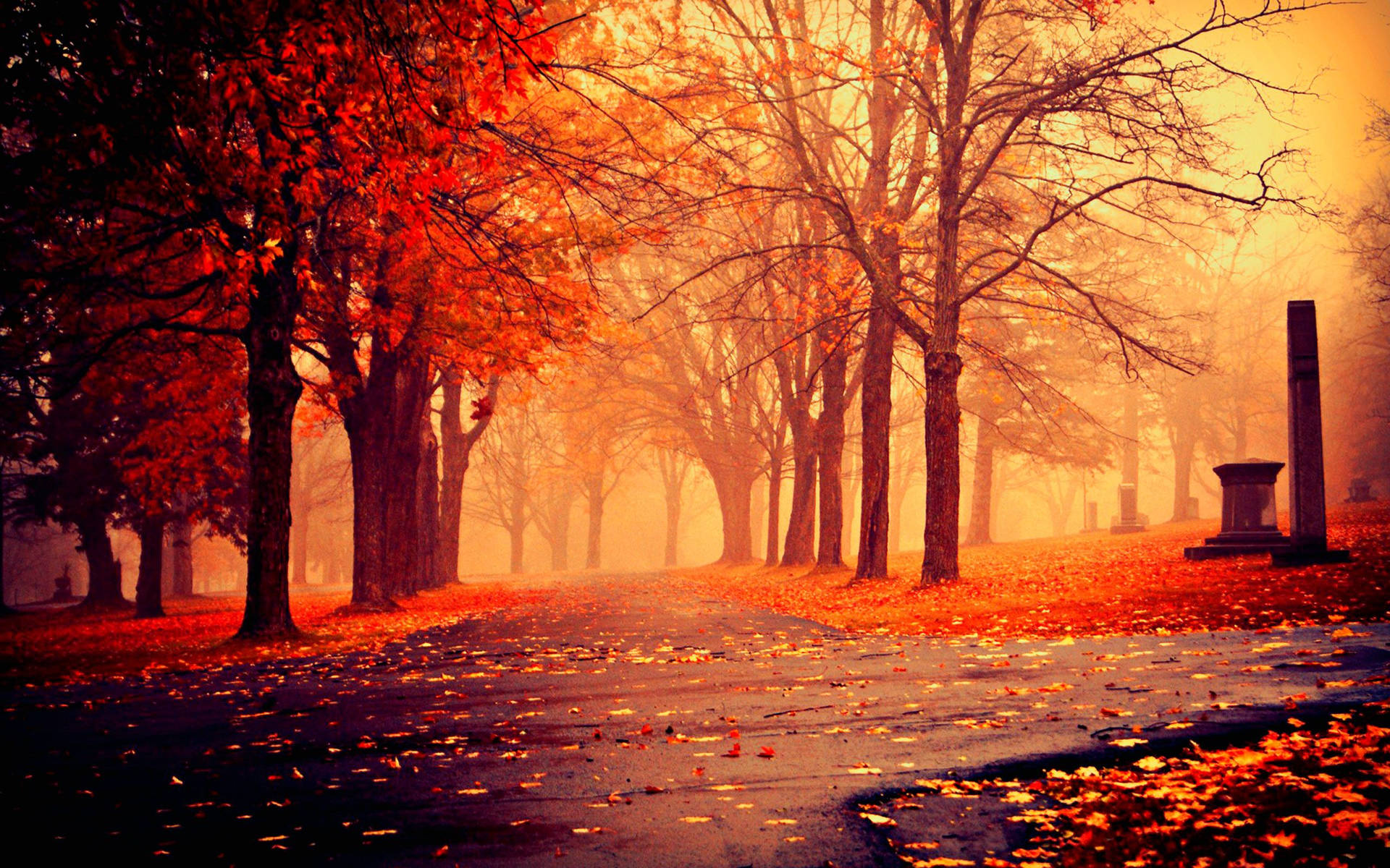 Beautiful AutumnWallpapers