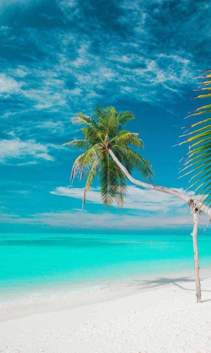 Beautiful Beach Wallpapers