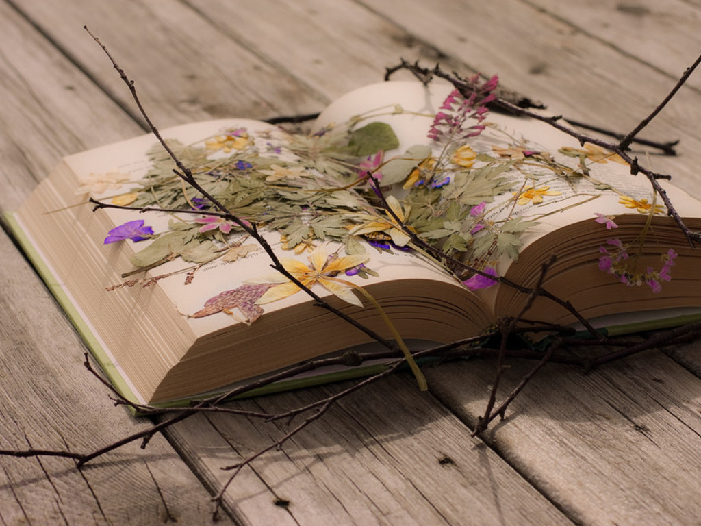 Beautiful Books Wallpapers