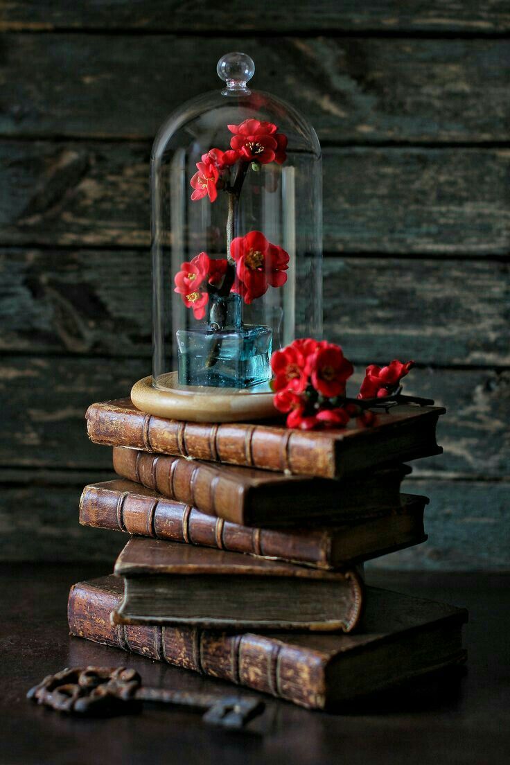 Beautiful Books Wallpapers