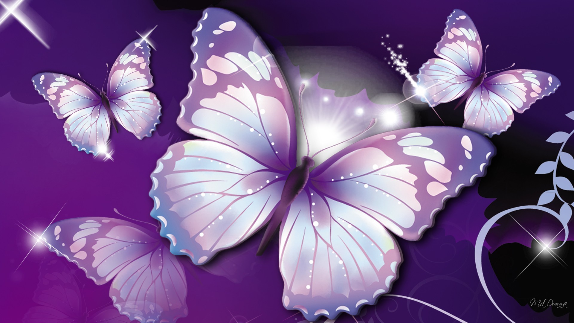 Beautiful Butterflies  Wallpapers