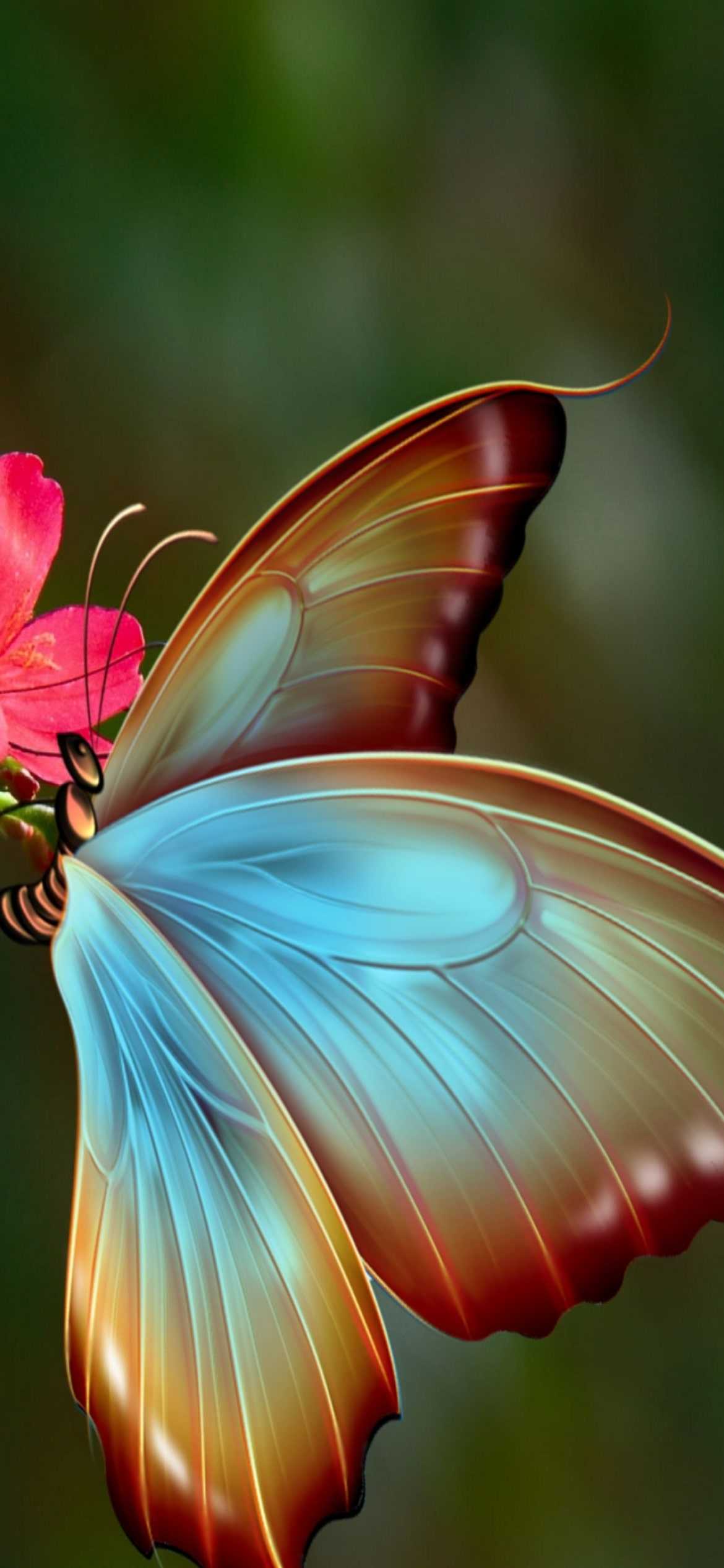 Beautiful Butterfly Iphone Wallpapers