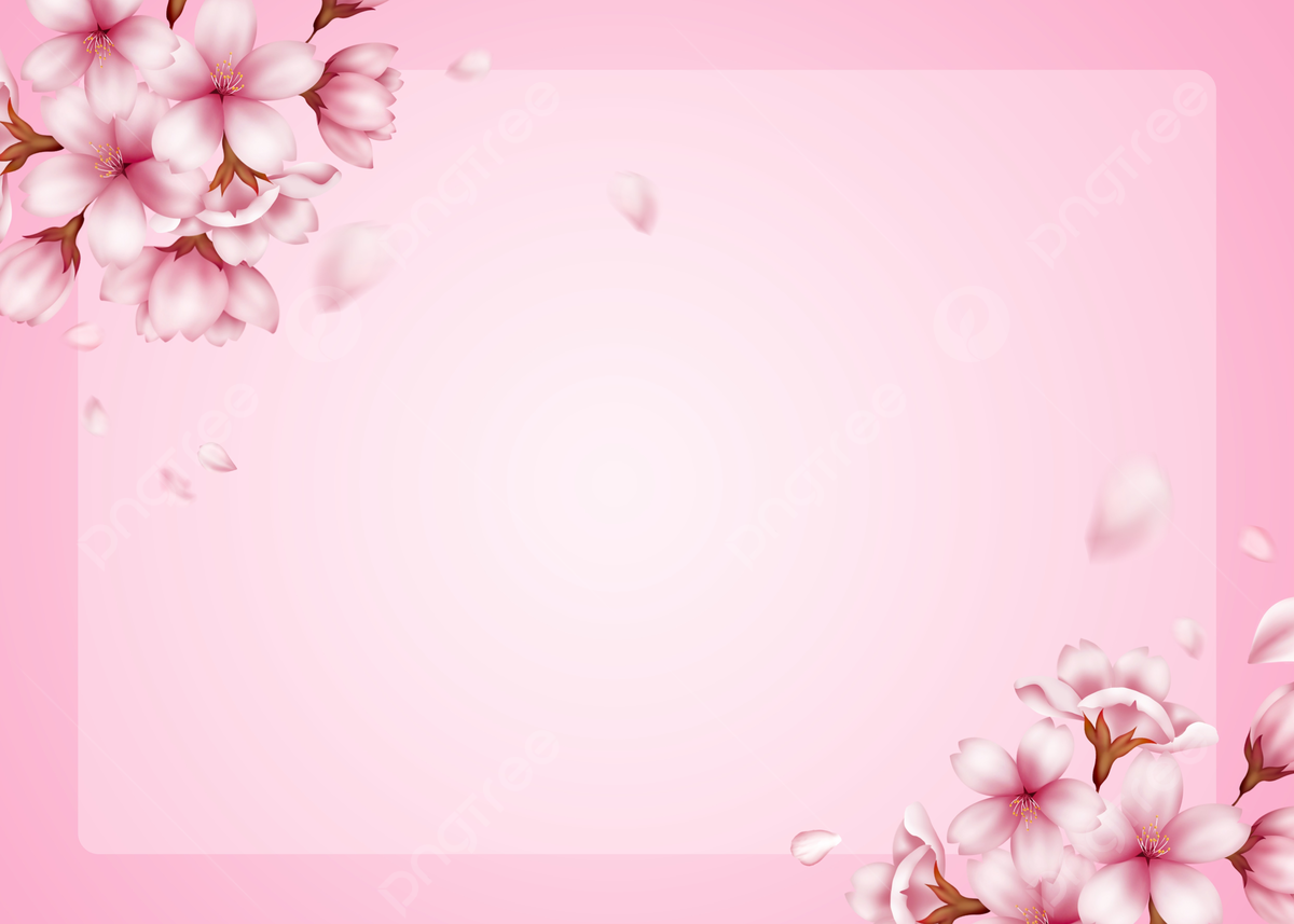 Beautiful Cherry Blossom Branch Wallpapers