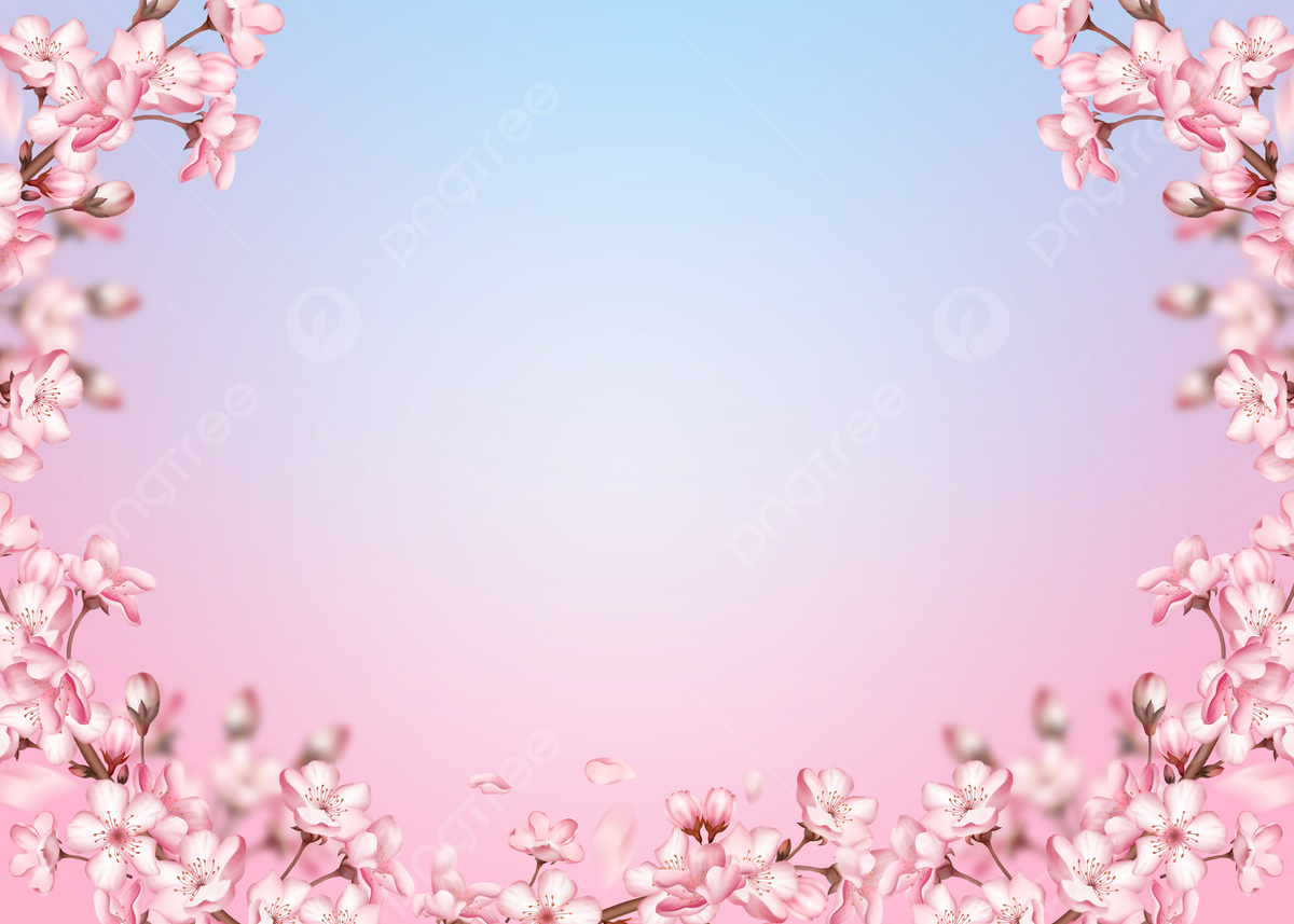 Beautiful Cherry Blossom Branch Wallpapers