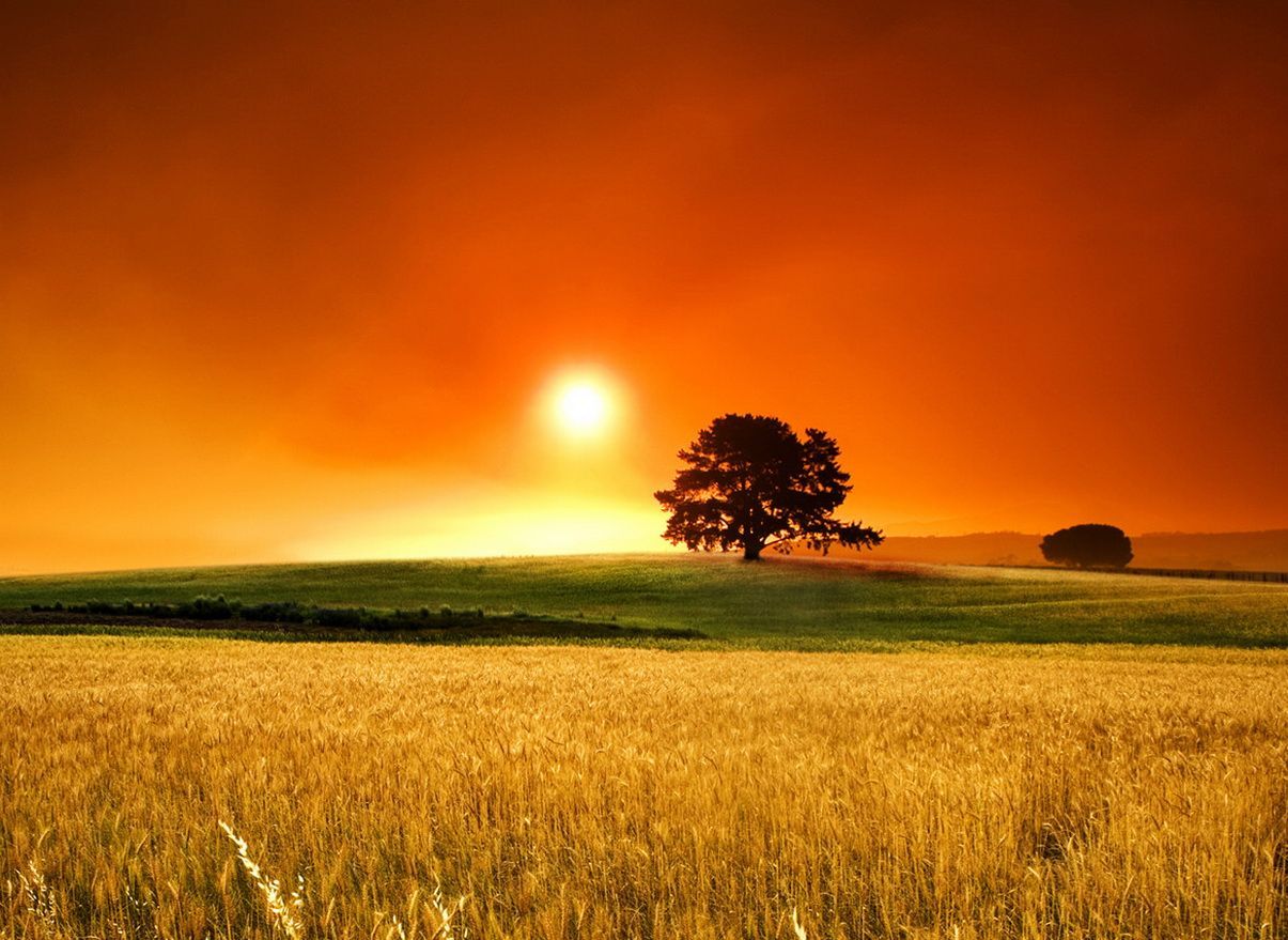 Beautiful CountryWallpapers