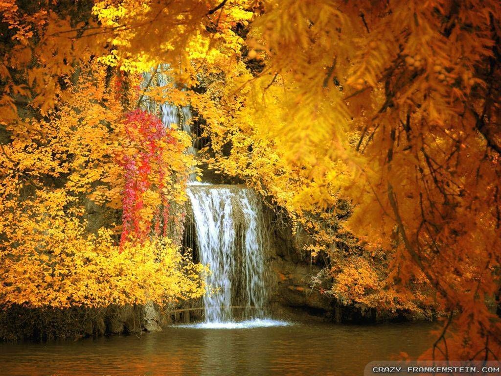 Beautiful Fall PicturesWallpapers