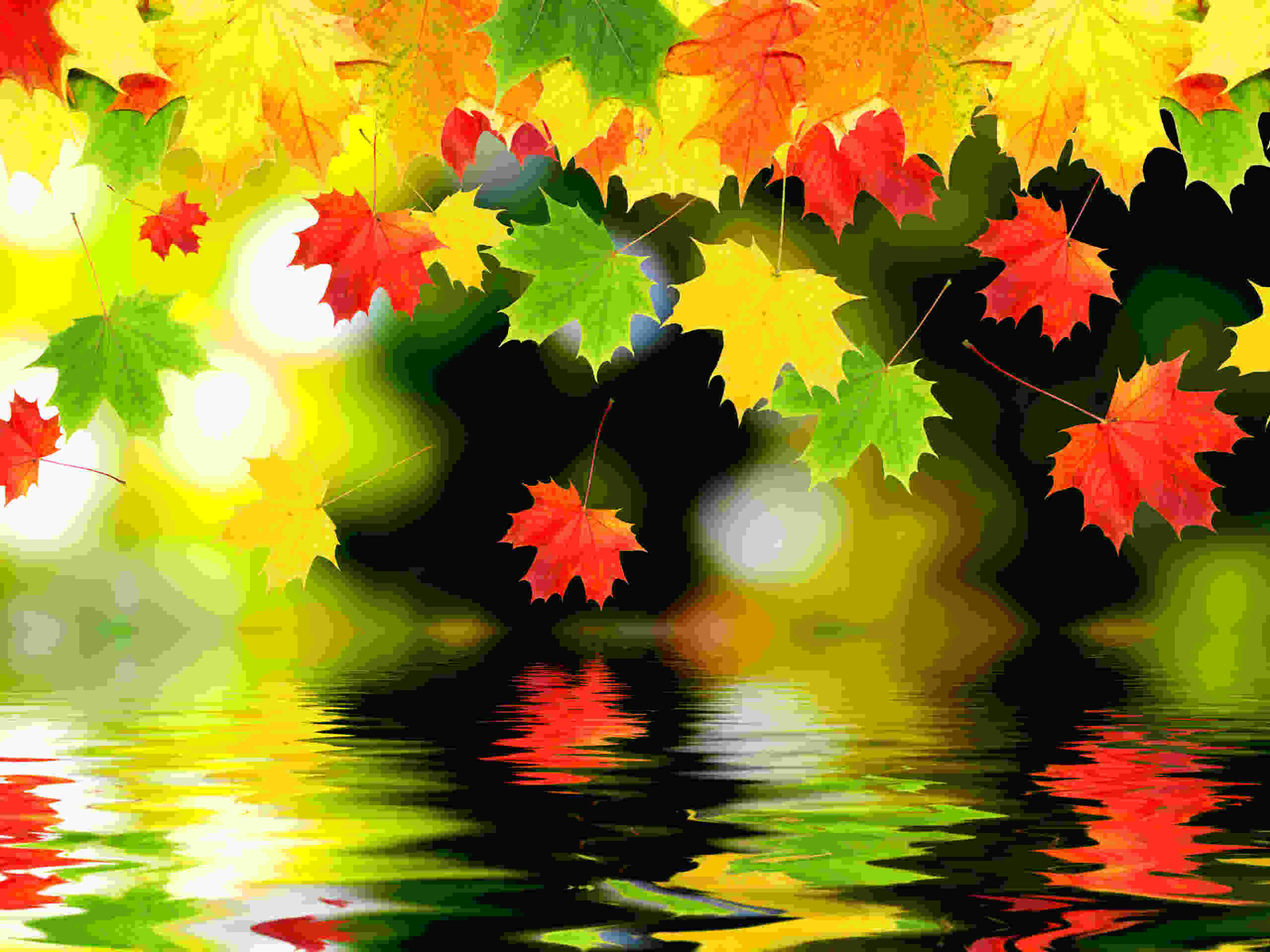 Beautiful Fall PicturesWallpapers