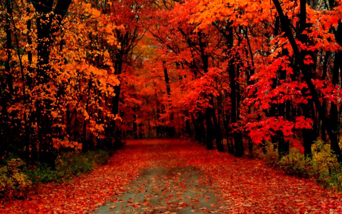 Beautiful Fall PicturesWallpapers