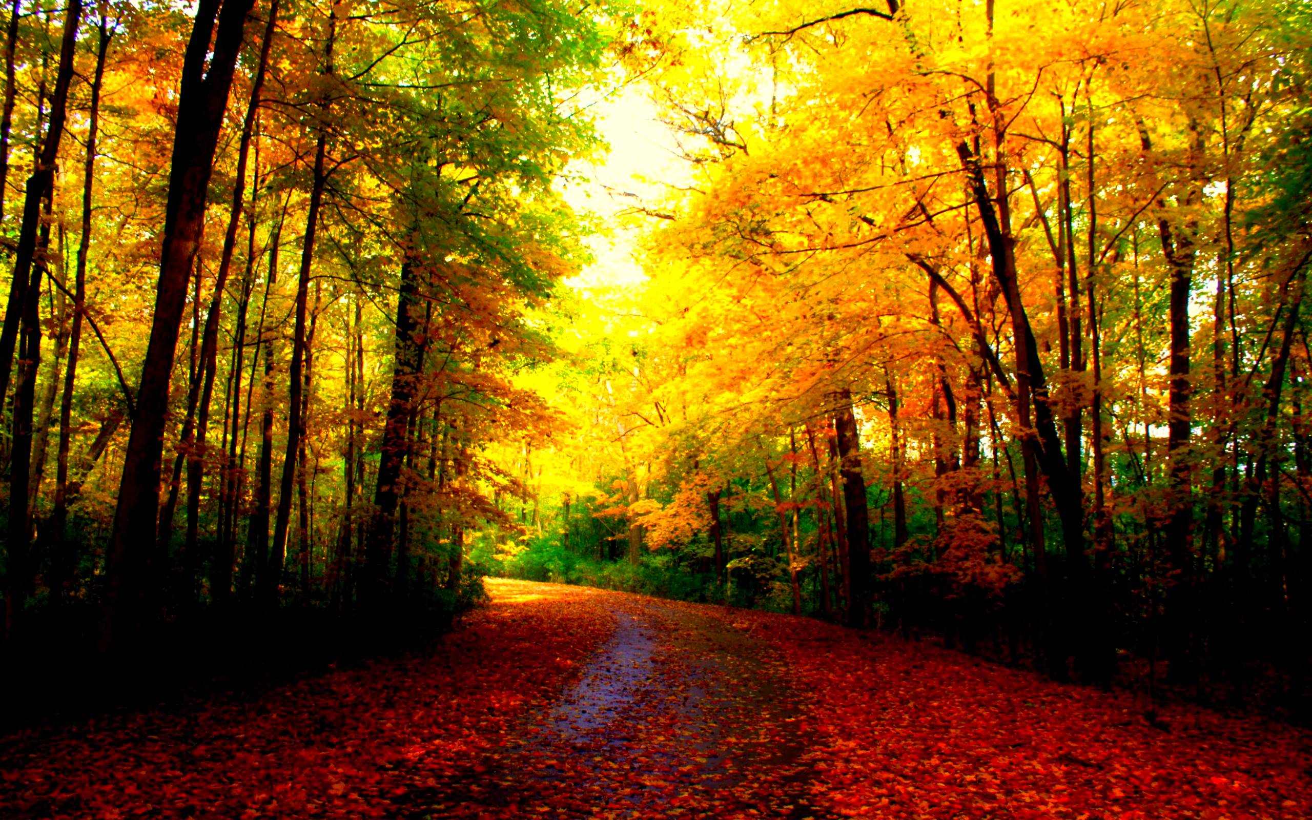 Beautiful Fall PicturesWallpapers