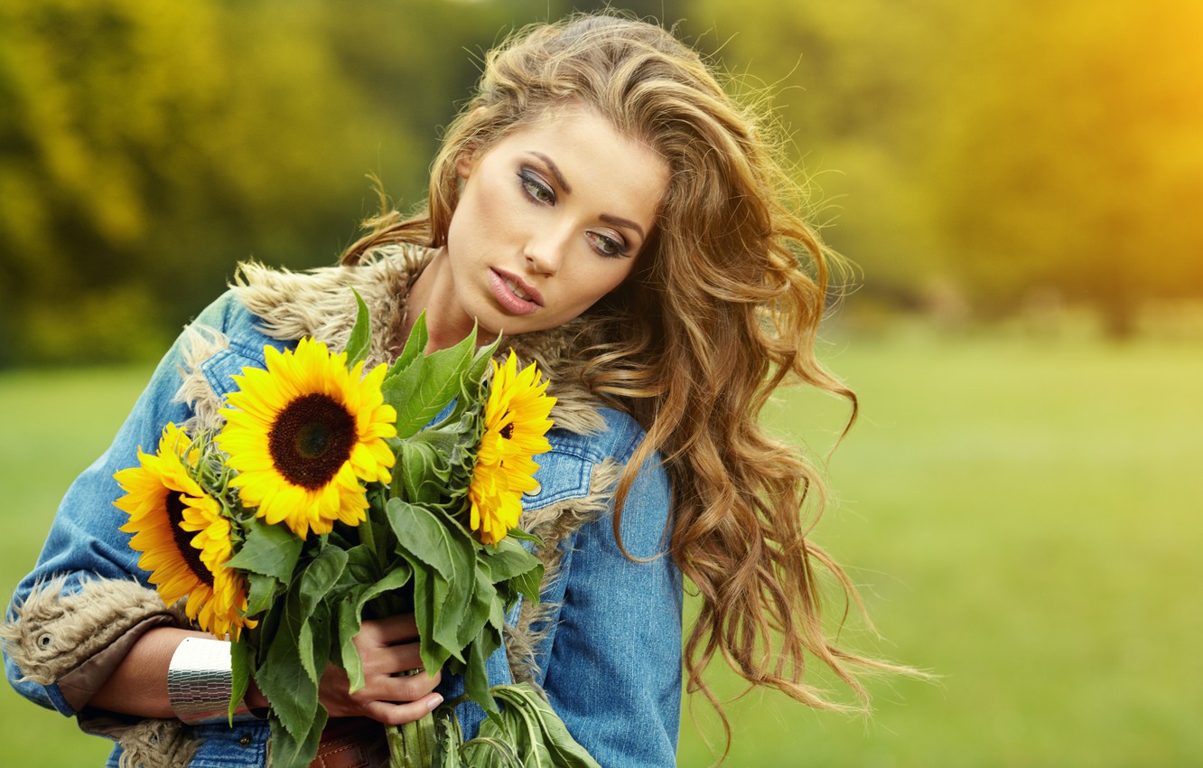 Beautiful Fall Sunflower Wallpapers