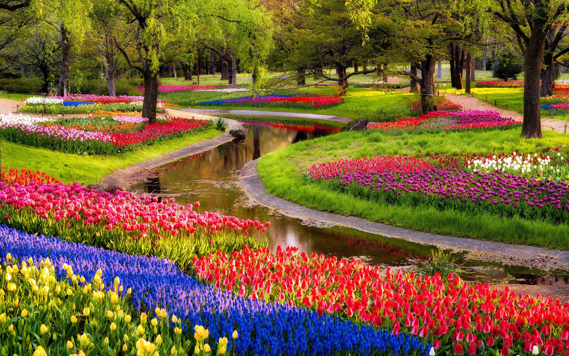 Beautiful Flower Garden Wallpapers